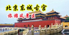 美女被鸡巴操中国北京-东城古宫旅游风景区